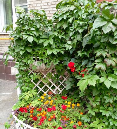 Москва г., Юных Ленинцев ул, 20/2