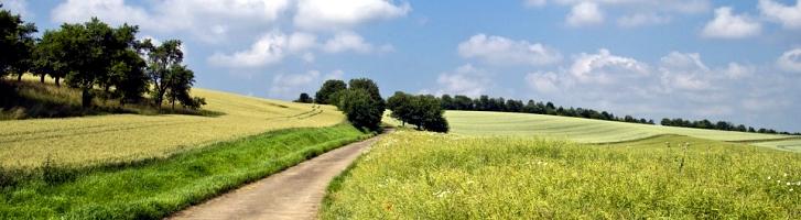 Росреестр назвал главные проблемы земель в России: переувлажнение и заболачивание